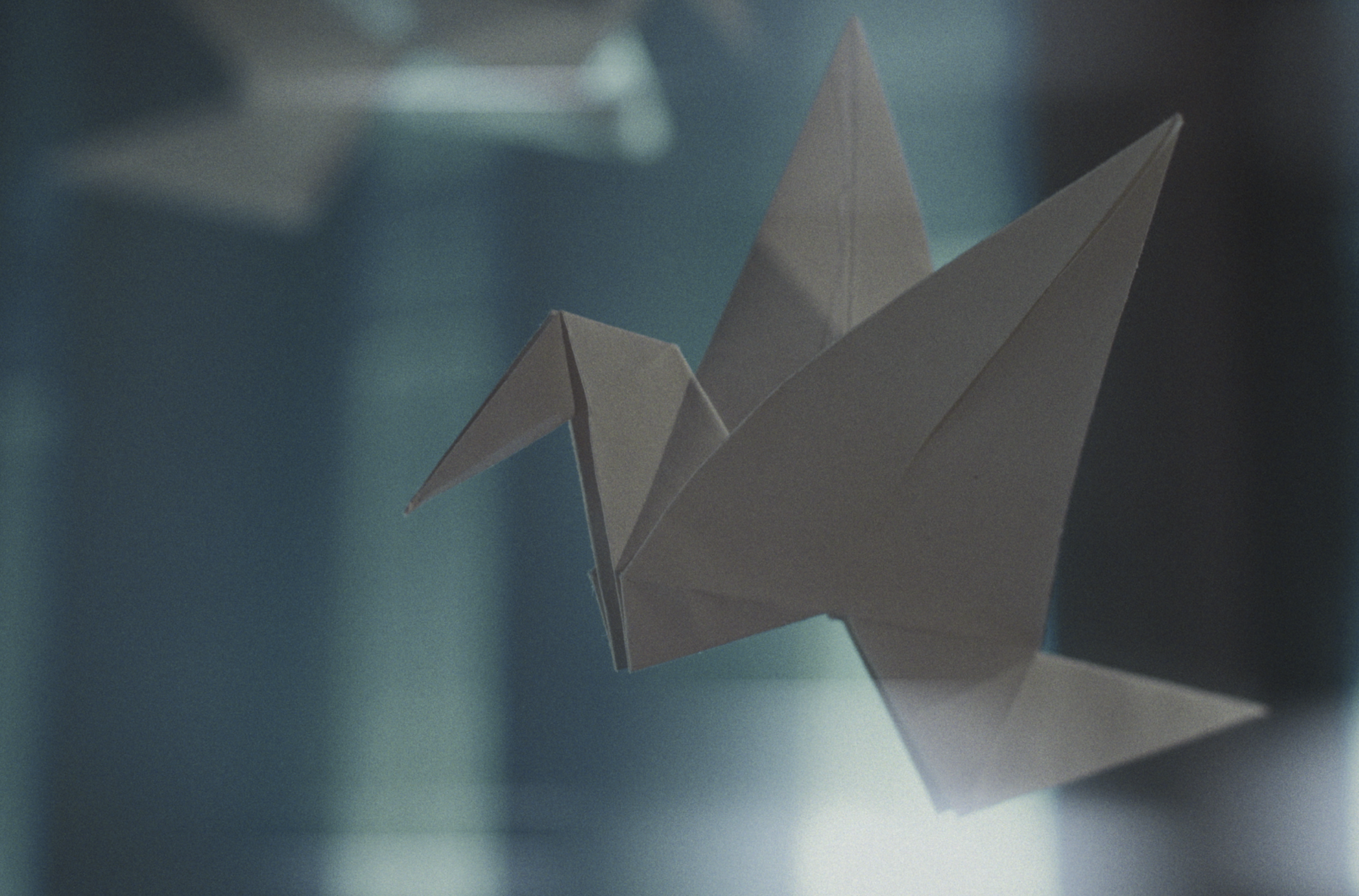 En hvid origami-fugl, der svæver i luften mod en mørk baggrund med blød belysning | Dokumentarfilm | Retrograd | Esben Persson & Anders Mielcke | Filmproduktion Aarhus | GESTALT