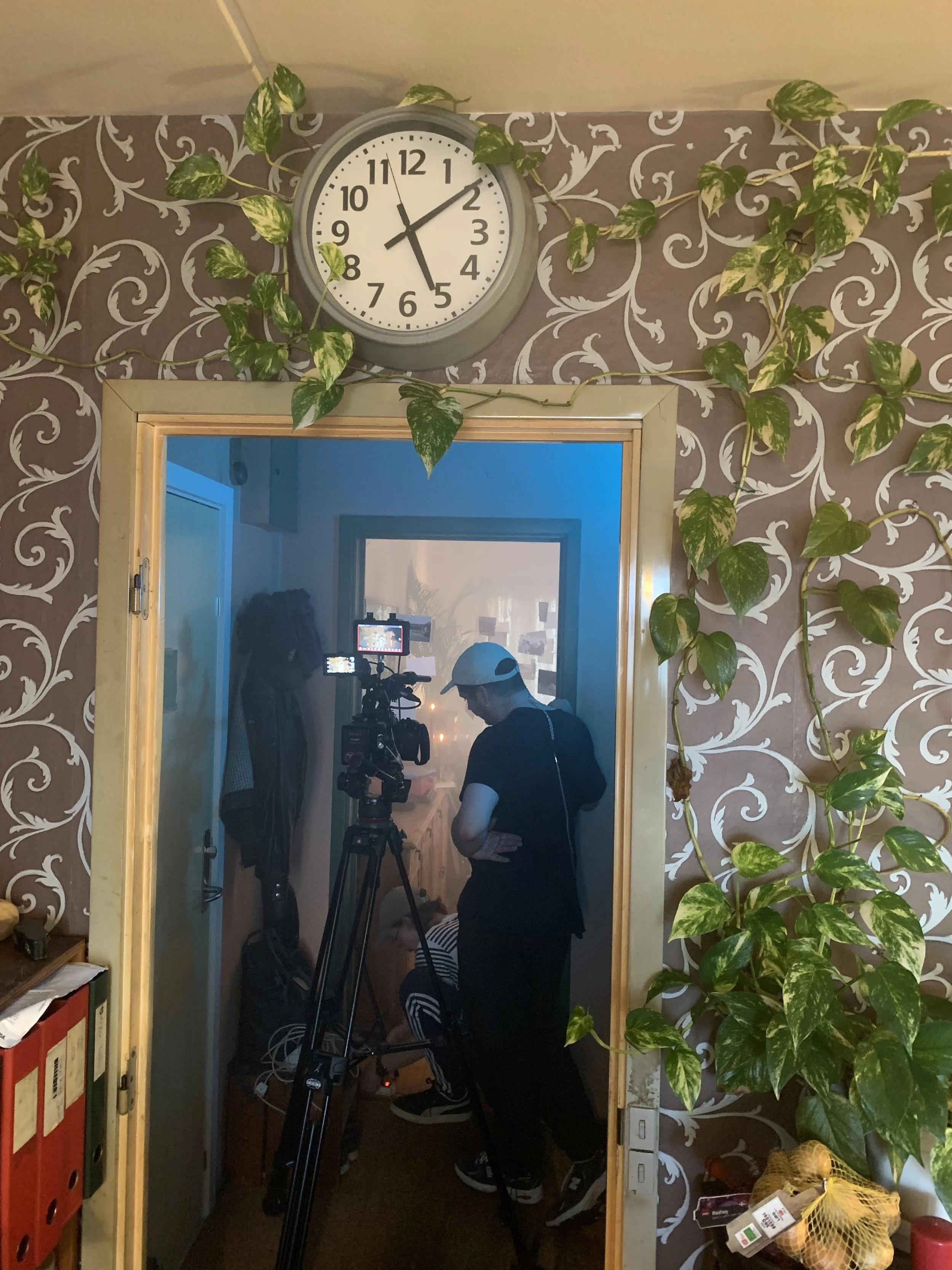 Indendørs rum med vægdekoration og grøn plante | Dokumentarfilm | Retrograd | Esben Persson & Anders Mielcke | Filmproduktion Aarhus | GESTALT