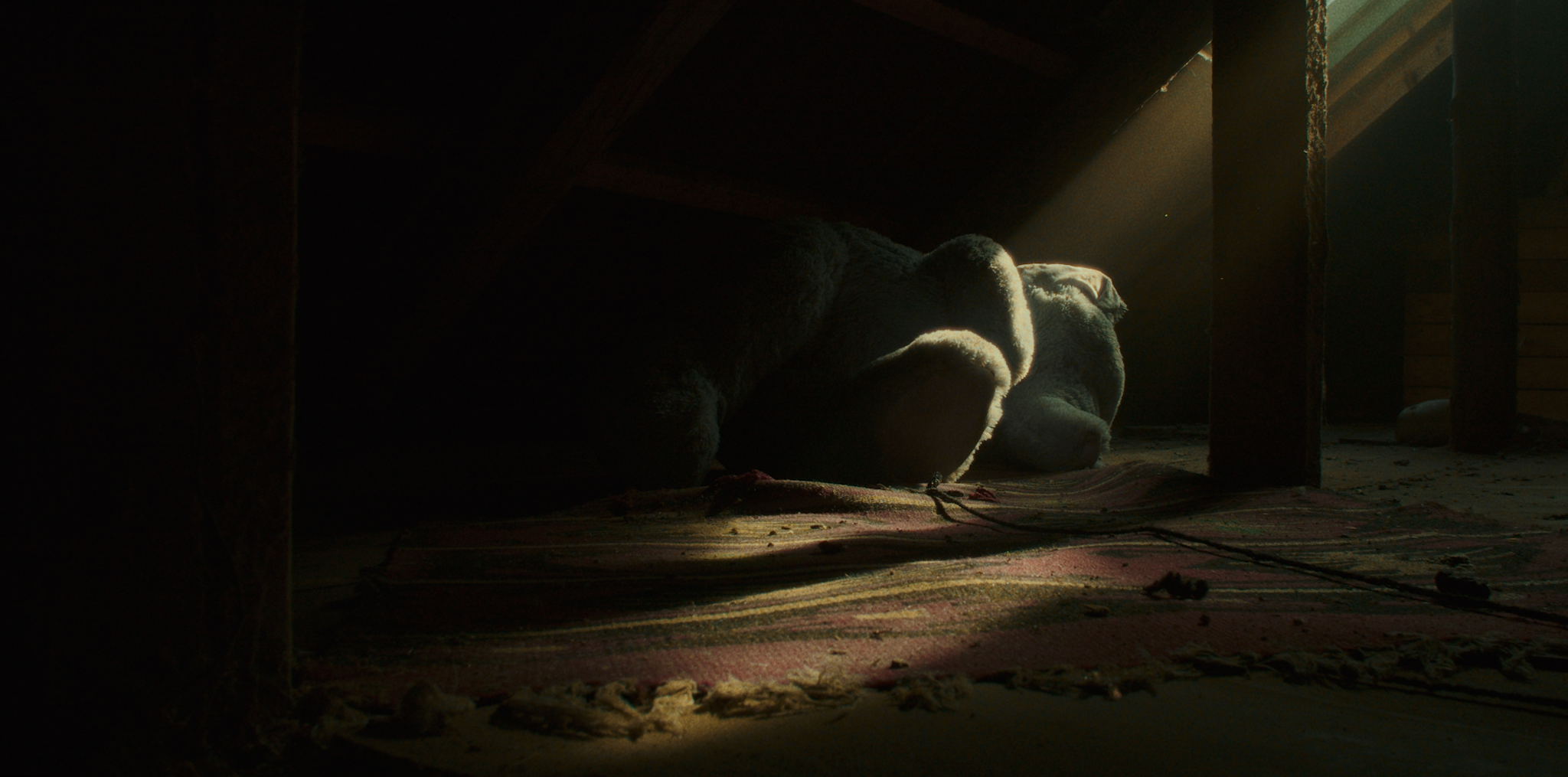 En bamse, der ligger på gulvet under et tag, med en svag lysstråle, der skinner ned på den | Kortfilm | Wild Wild Vesløs | Esben Persson | Filmproduktion Aarhus | GESTALT