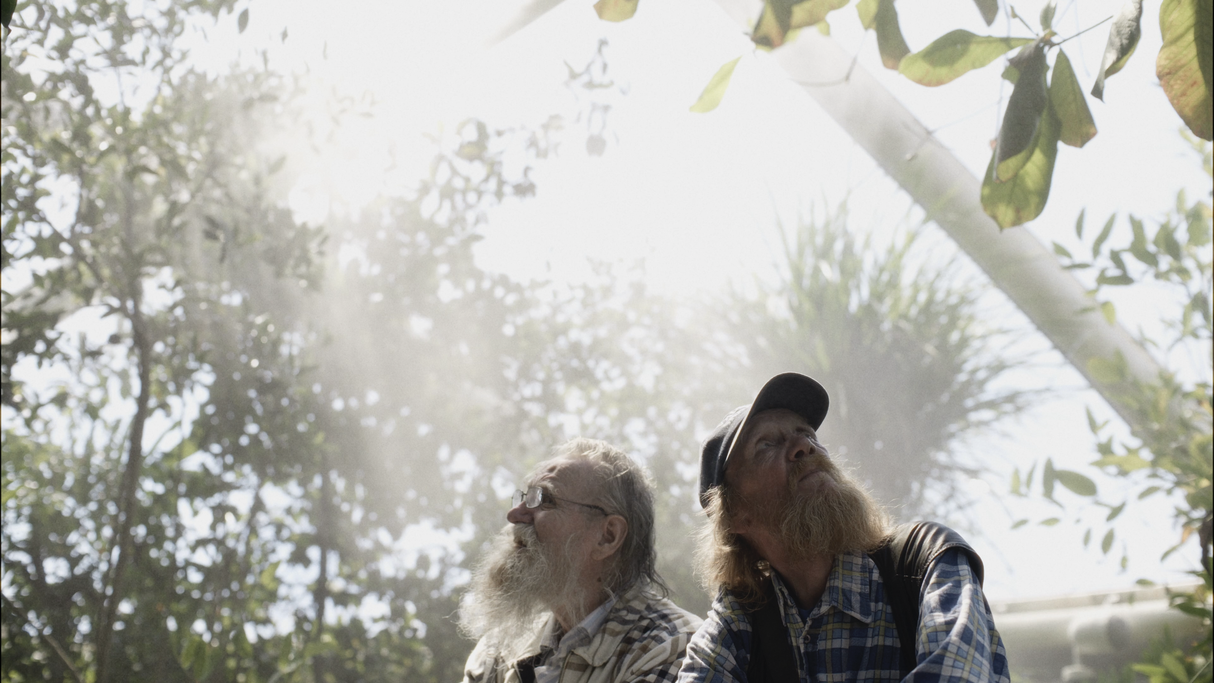 To ældre mænd med skæg og hat står under træer i et grønt område, mens de ser op mod himlen eller træerne | Dokumentarfilm | Retrograd | Esben Persson & Anders Mielcke | Filmproduktion Aarhus | GESTALT