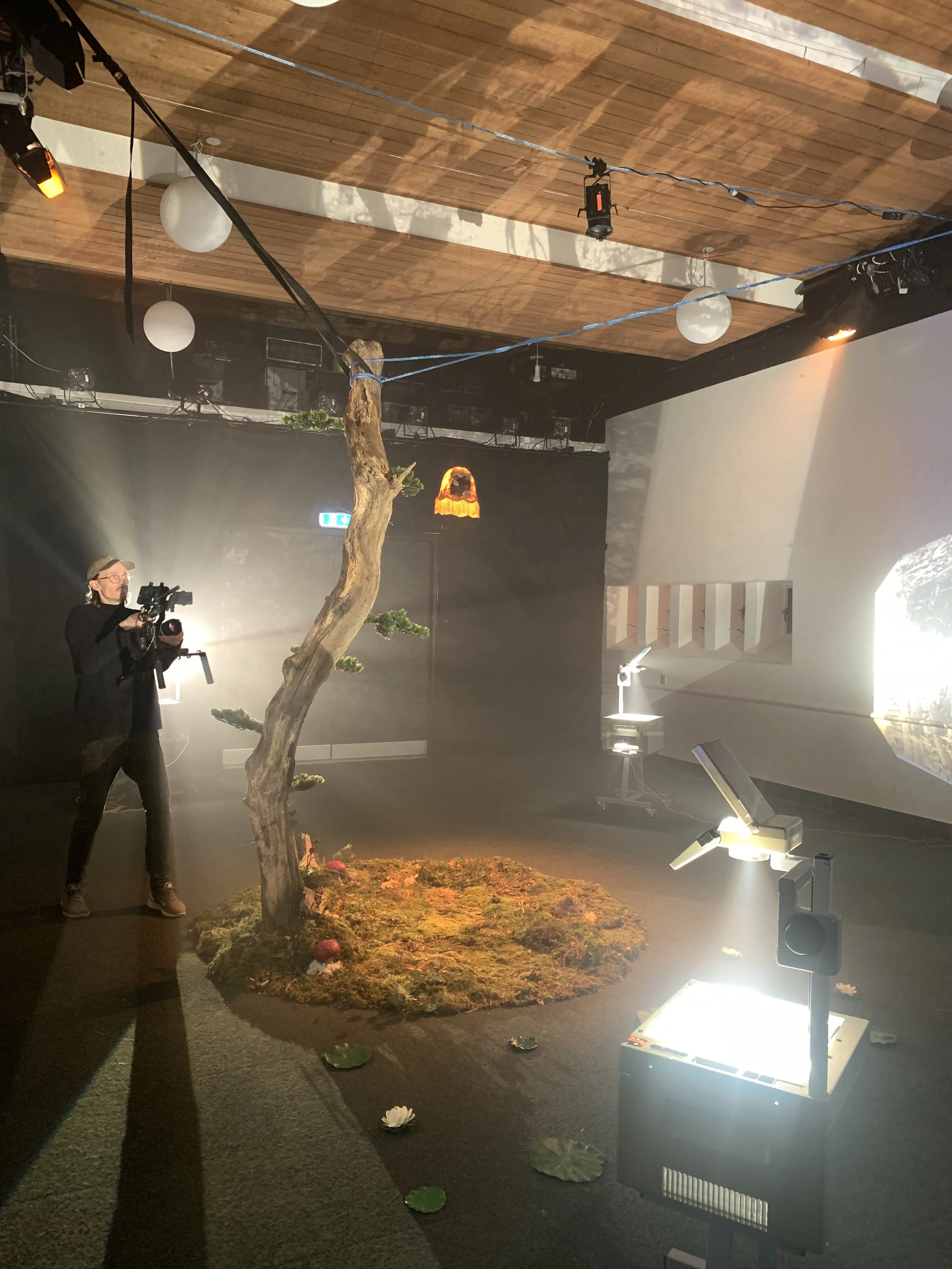 Indendørs scene med kunstig træ, mos, blomster og scenelys. En person med kamera filmer | Dokumentarfilm | Retrograd | Esben Persson & Anders Mielcke | Filmproduktion Aarhus | GESTALT