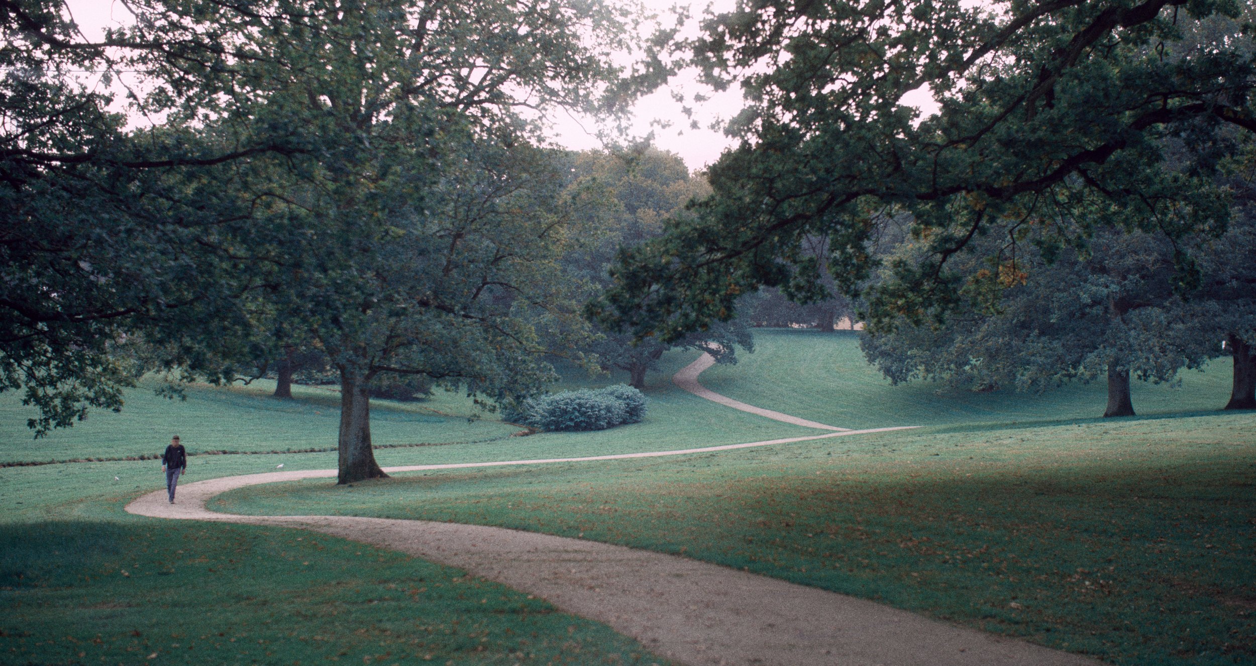 En person går langs en snoet sti gennem en grøn park med store træer, på en grå dag | Dokumentarfilm | Retrograd | Esben Persson & Anders Mielcke | Filmproduktion Aarhus | GESTALT