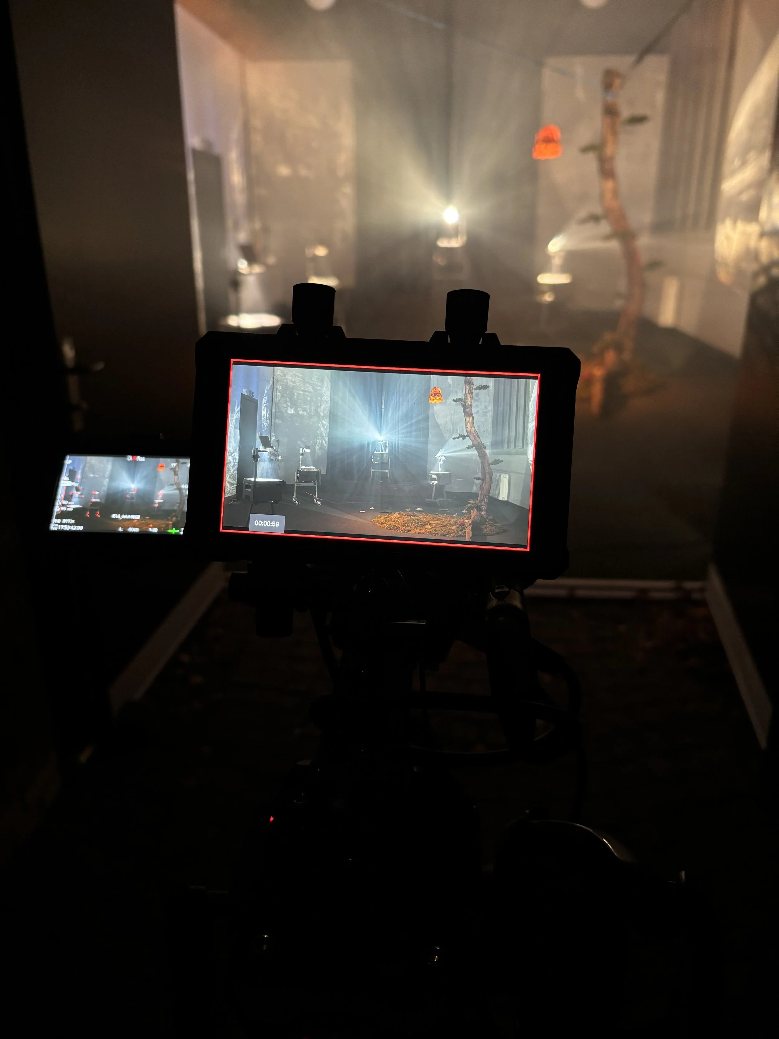 En kameramonitor viser en abstrakt scene med et træ | Dokumentarfilm | Retrograd | Esben Persson & Anders Mielcke | Filmproduktion Aarhus | GESTALT 