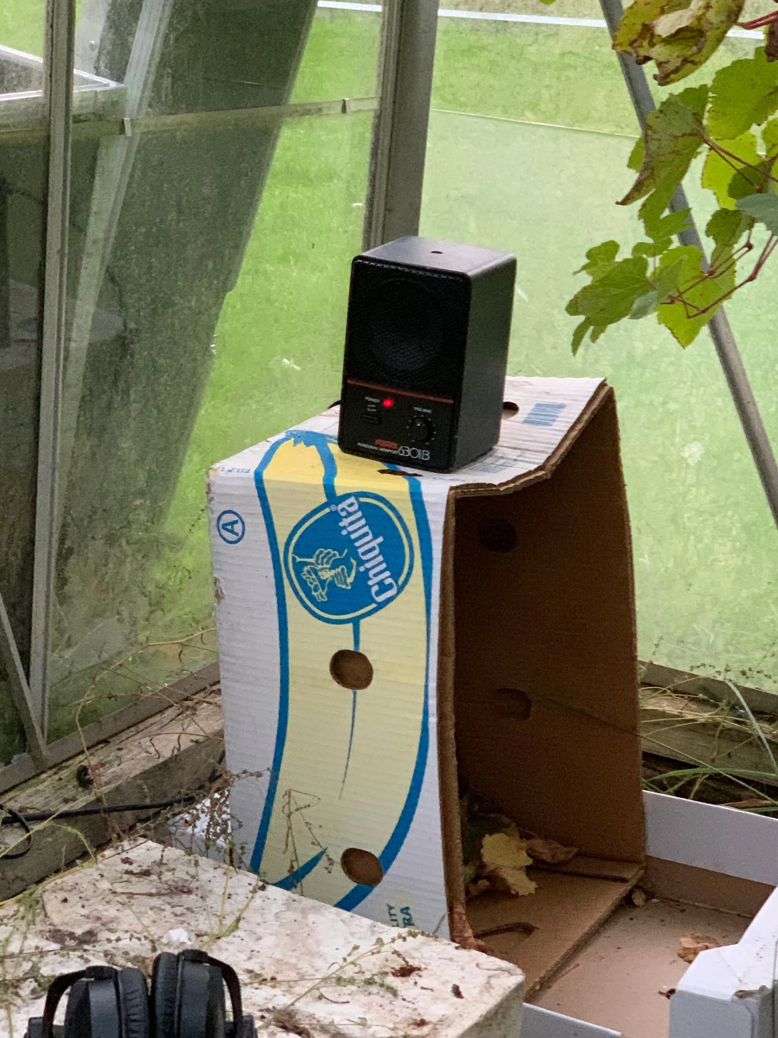 En bærbar højttaler placeret på en skumslange eller papkasse i en drivhuslignende struktur med grønne blade til højre | Studieproduktion | Musikkomposition | Filmproduktion Aarhus | GESTALT