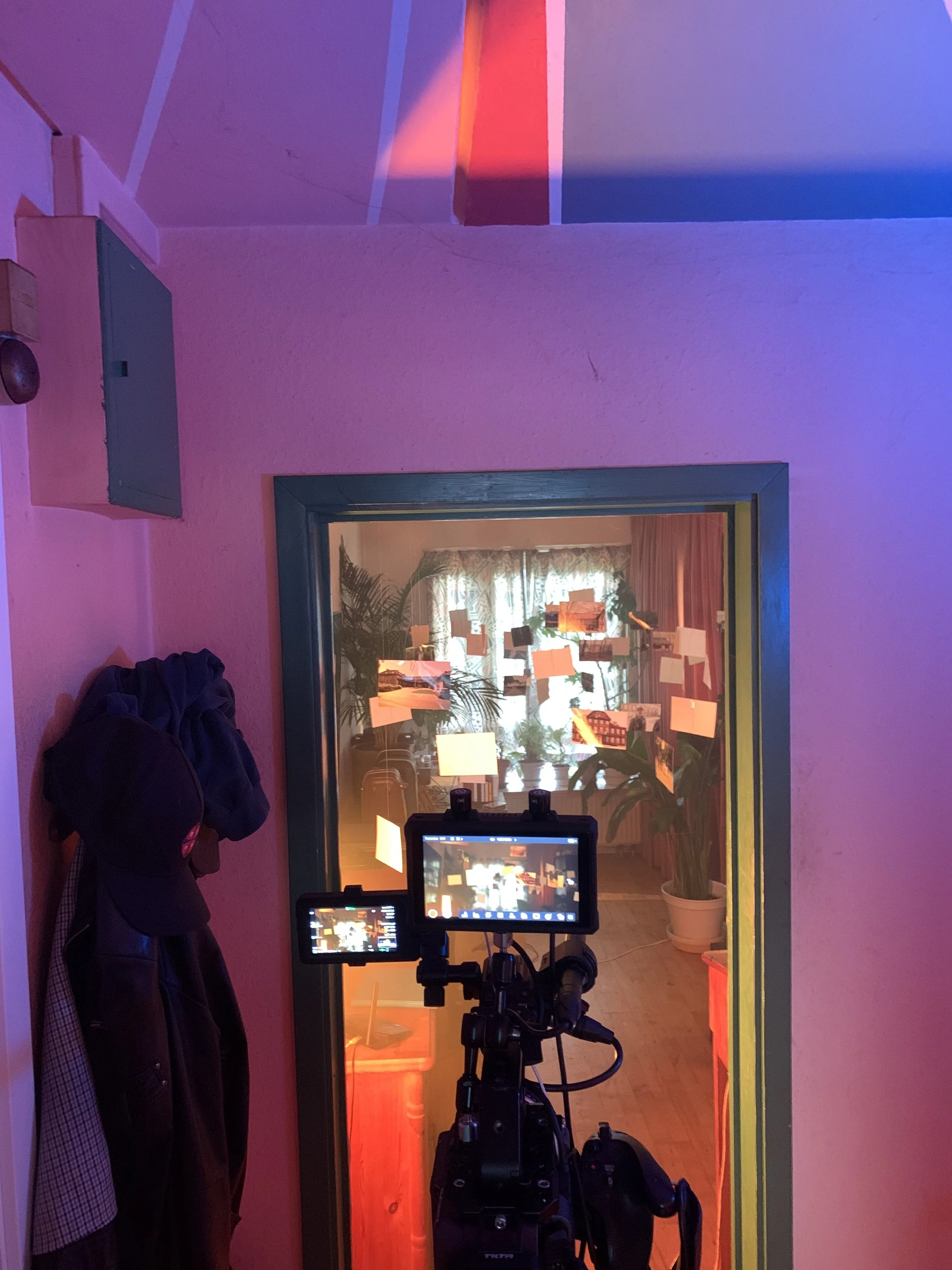 Kameraoptagelse af et rum med vægdekorationer med fotografier, planter og lamper, set gennem en dør, med pink og blå belysning | Dokumentarfilm | Retrograd | Esben Persson & Anders Mielcke | Filmproduktion Aarhus | GESTALT