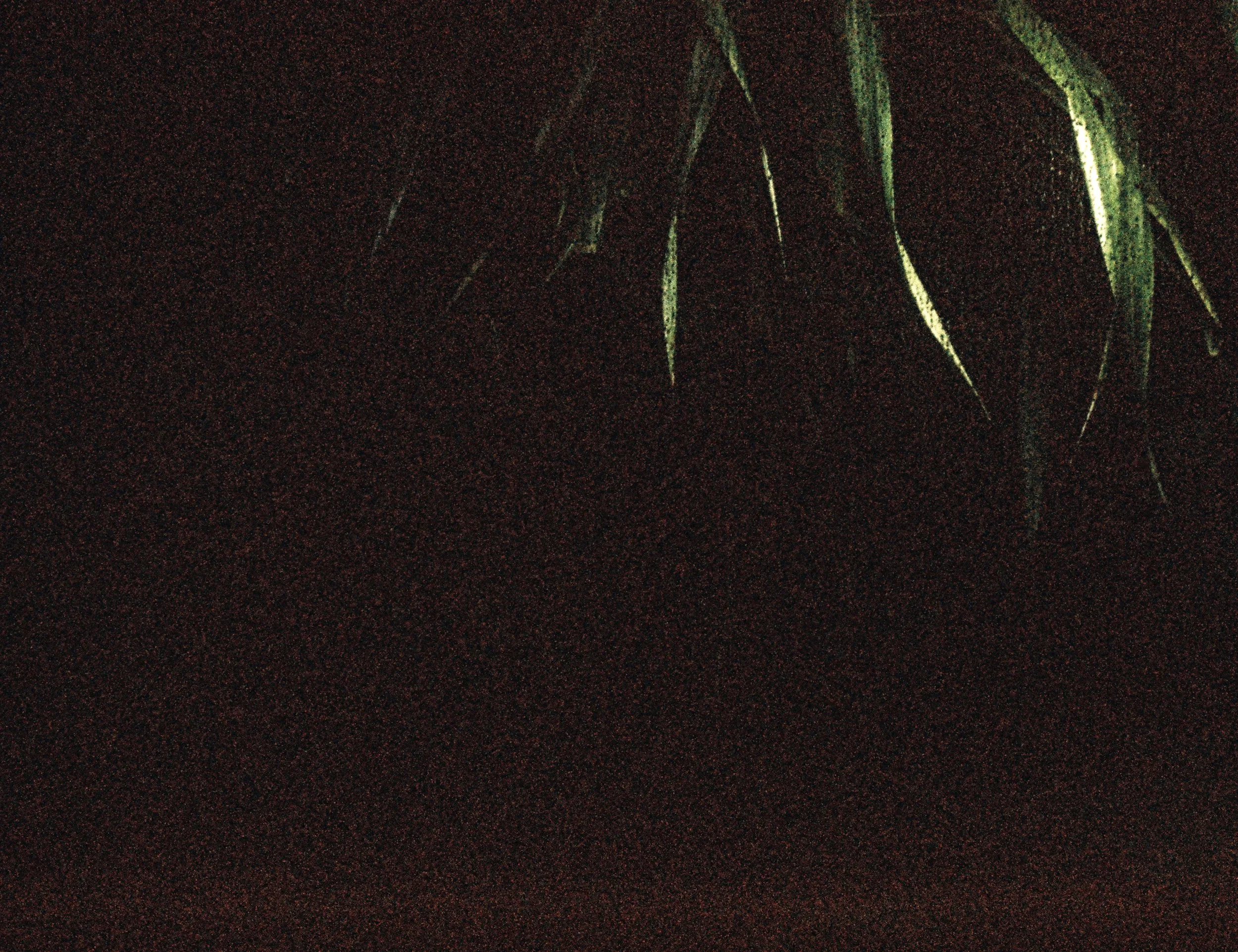 STILLS OG BTS | BILLEDBOGEN | GESTALT