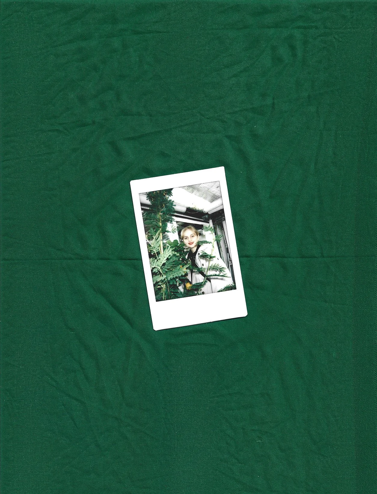 Polaroid billede af en ung kvinde, der står bag grønne planter, indendørs med gulv til loft vindue i baggrunden | Stemningsbillede | Filmproduktion Aarhus | GESTALT