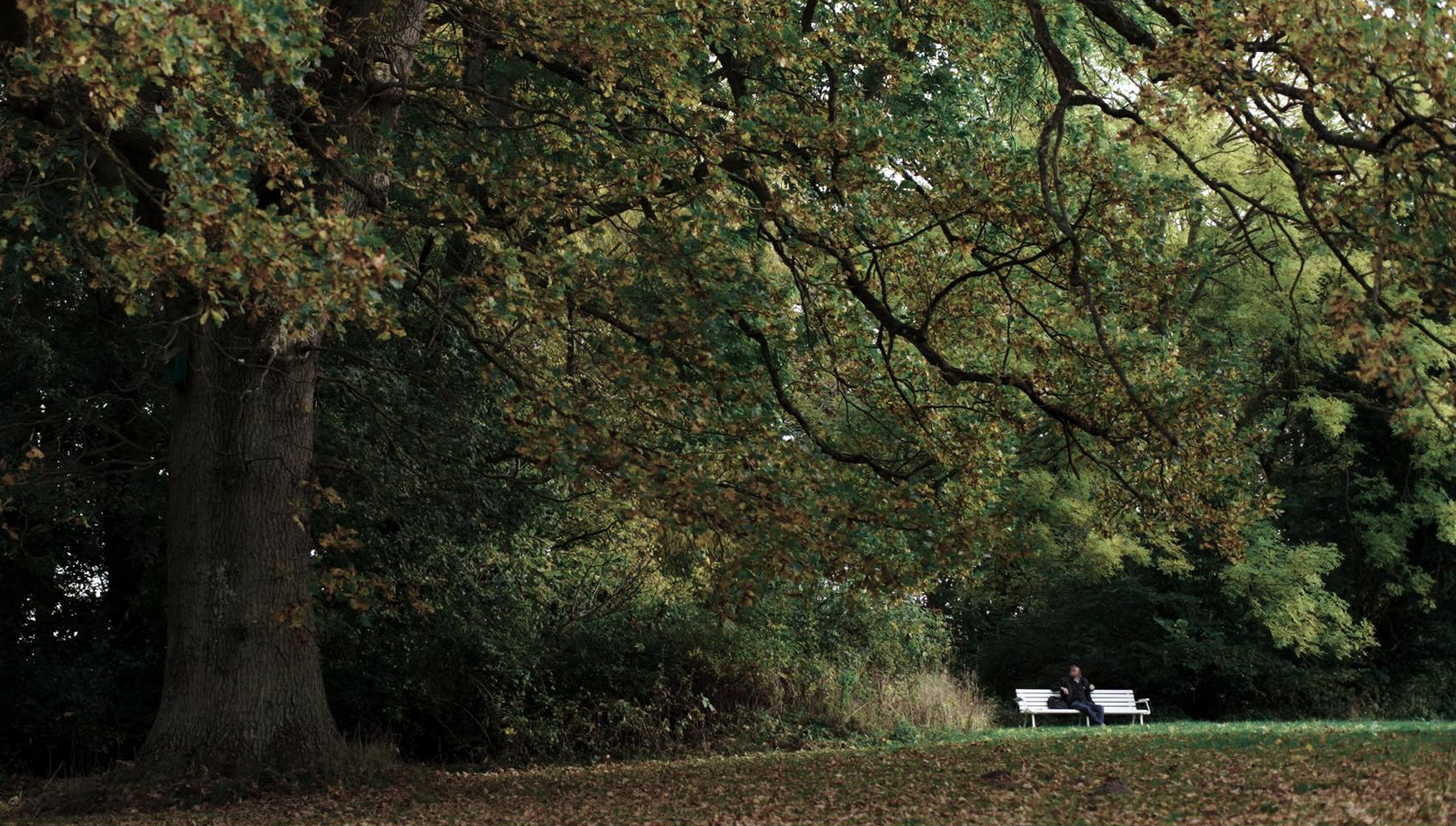 STILLS OG BTS | BILLEDBOGEN | GESTALT