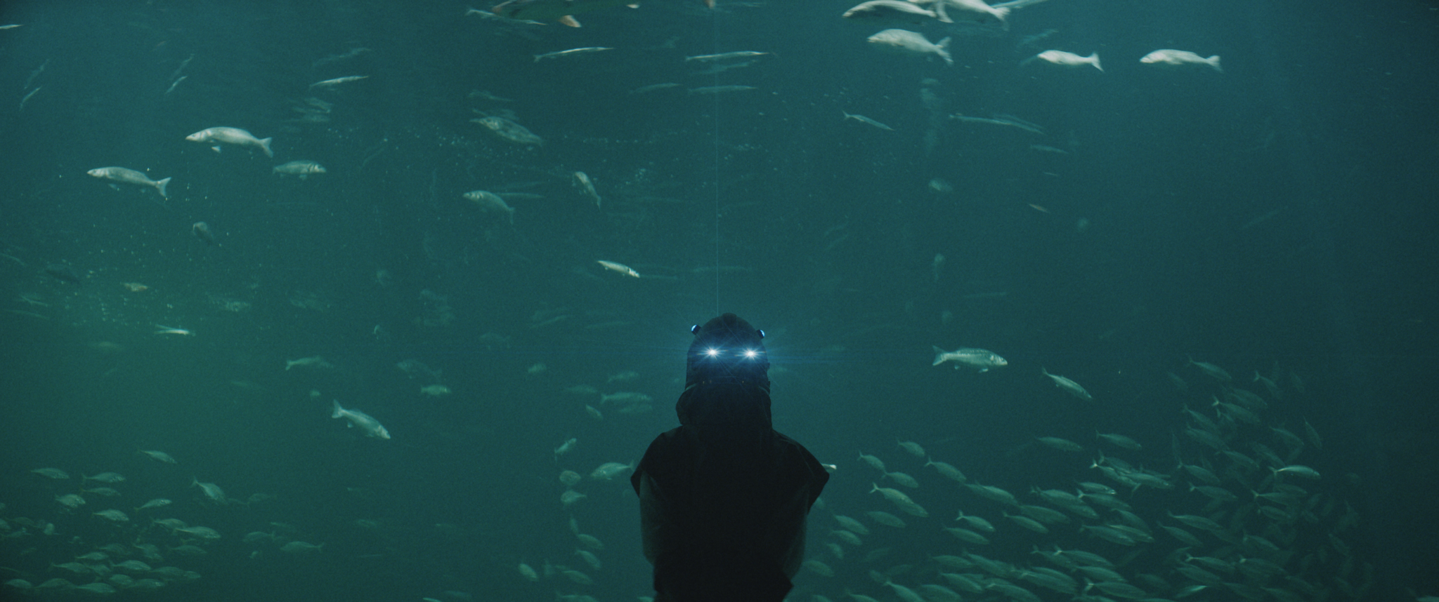 STILLS OG BTS | BILLEDBOGEN | GESTALT