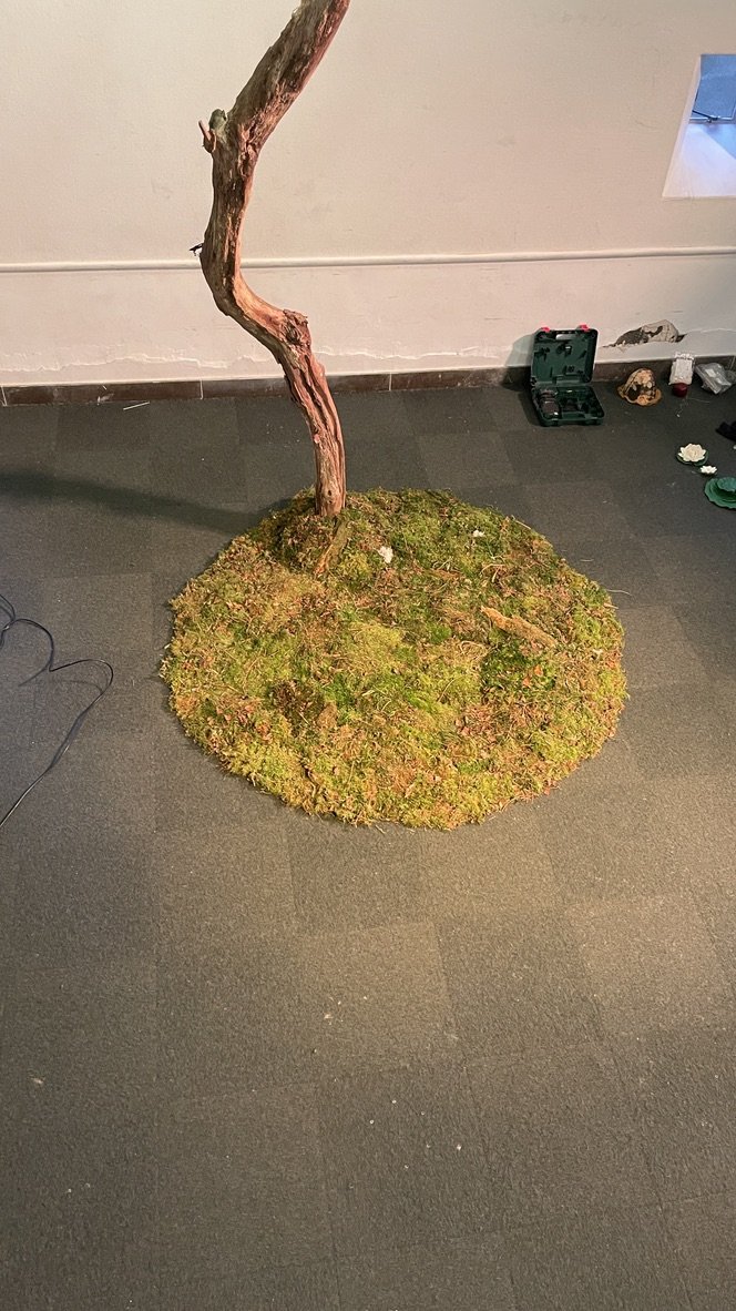 STILLS OG BTS | BILLEDBOGEN | GESTALT