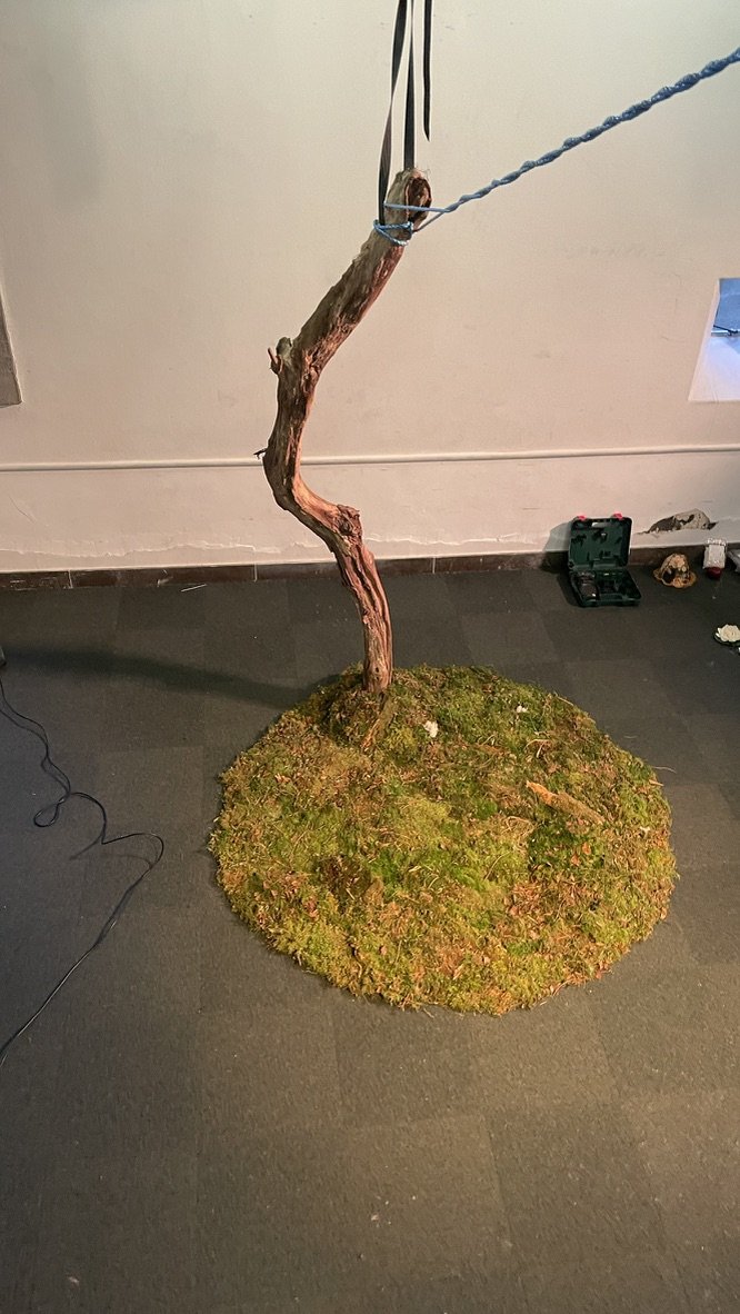 STILLS OG BTS | BILLEDBOGEN | GESTALT