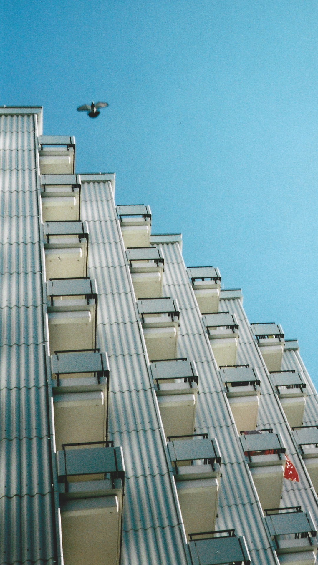 Husfacader med små balkoner og en fugl flyvende foran en blå himmel | Location scouting | Kodak | Filmproduktion Aarhus | GESTALT