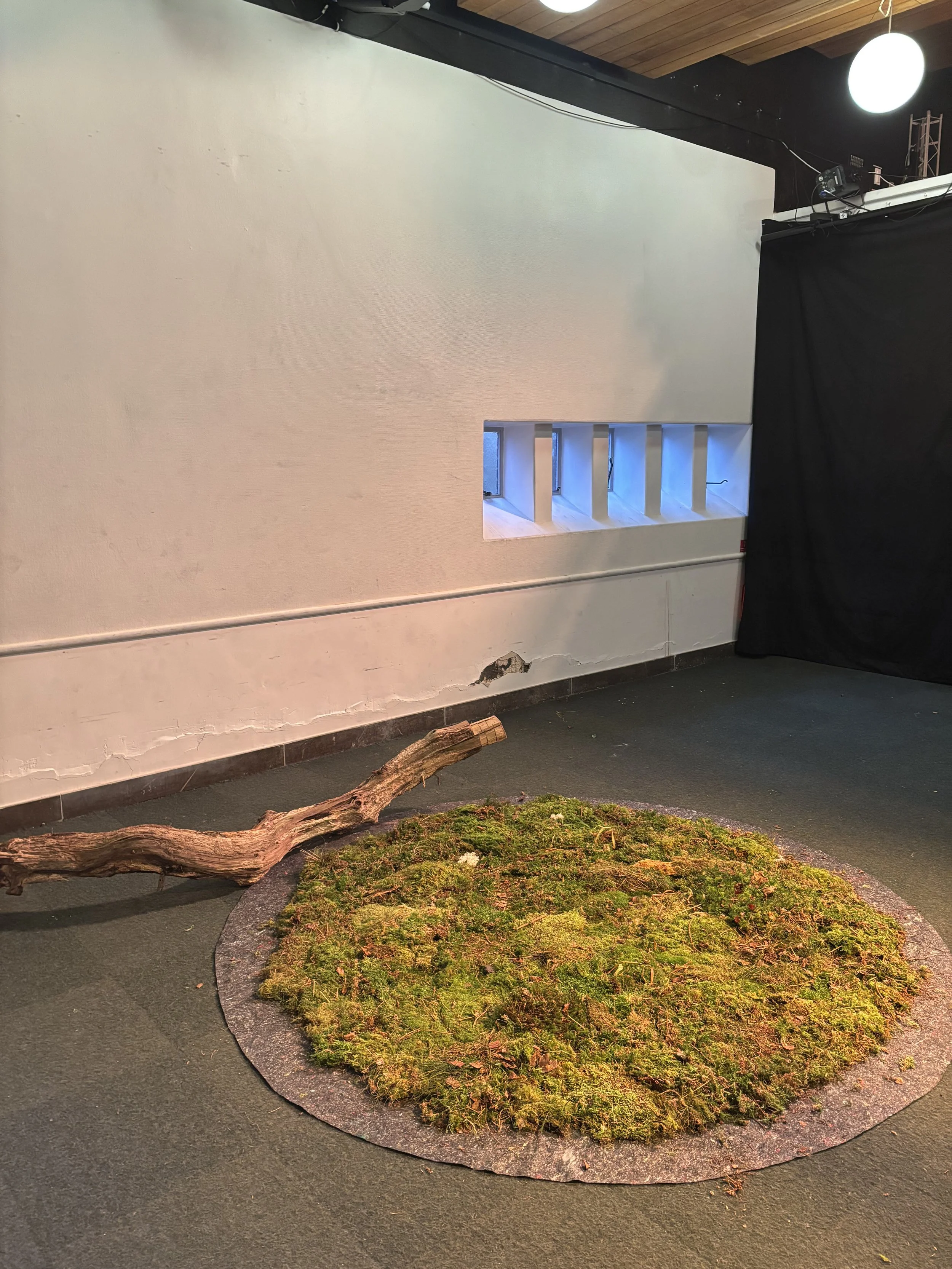 Indendørs scene med en mur, et vindue, et stykke træ og en rund måtte dækket med grøn mos | Dokumentarfilm | Retrograd | Esben Persson & Anders Mielcke | Filmproduktion Aarhus | GESTALT


