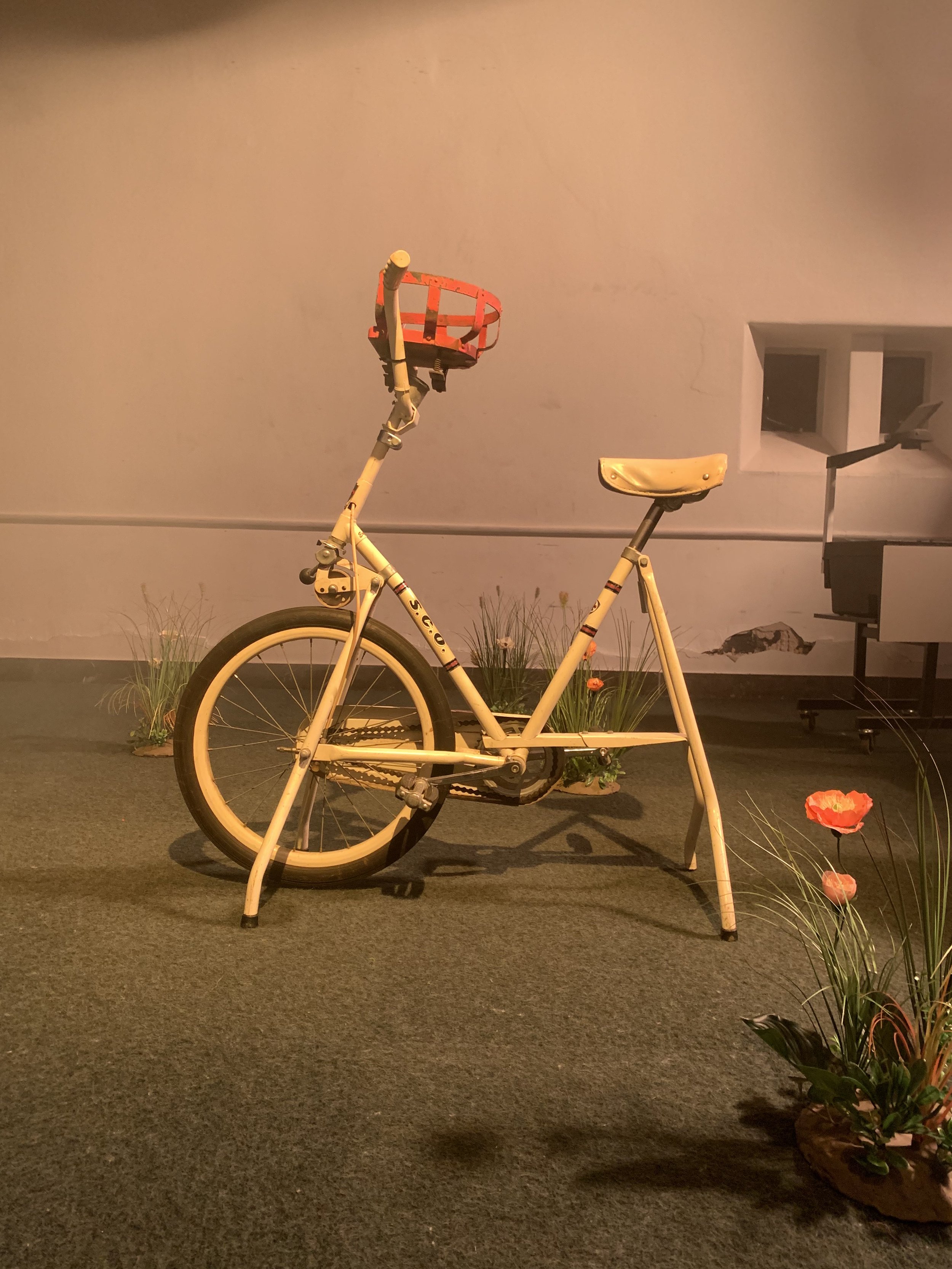 En gammel, beige motionscykel med en orange kurv foran, placeret på et blødt tæppe med blomster og græs omkring, indendørs | Dokumentarfilm | Retrograd | Esben Persson & Anders Mielcke | Filmproduktion Aarhus | GESTALT