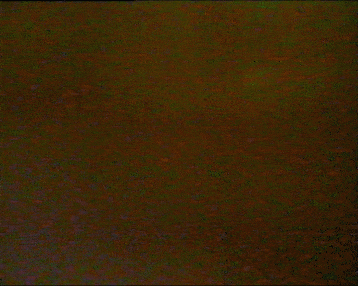 Forvrænget, abstrakt videobaggrund med mørke, grønne og brune nuancer | Videomanipulation og installationskunst | Filmproduktion Aarhus | GESTALT