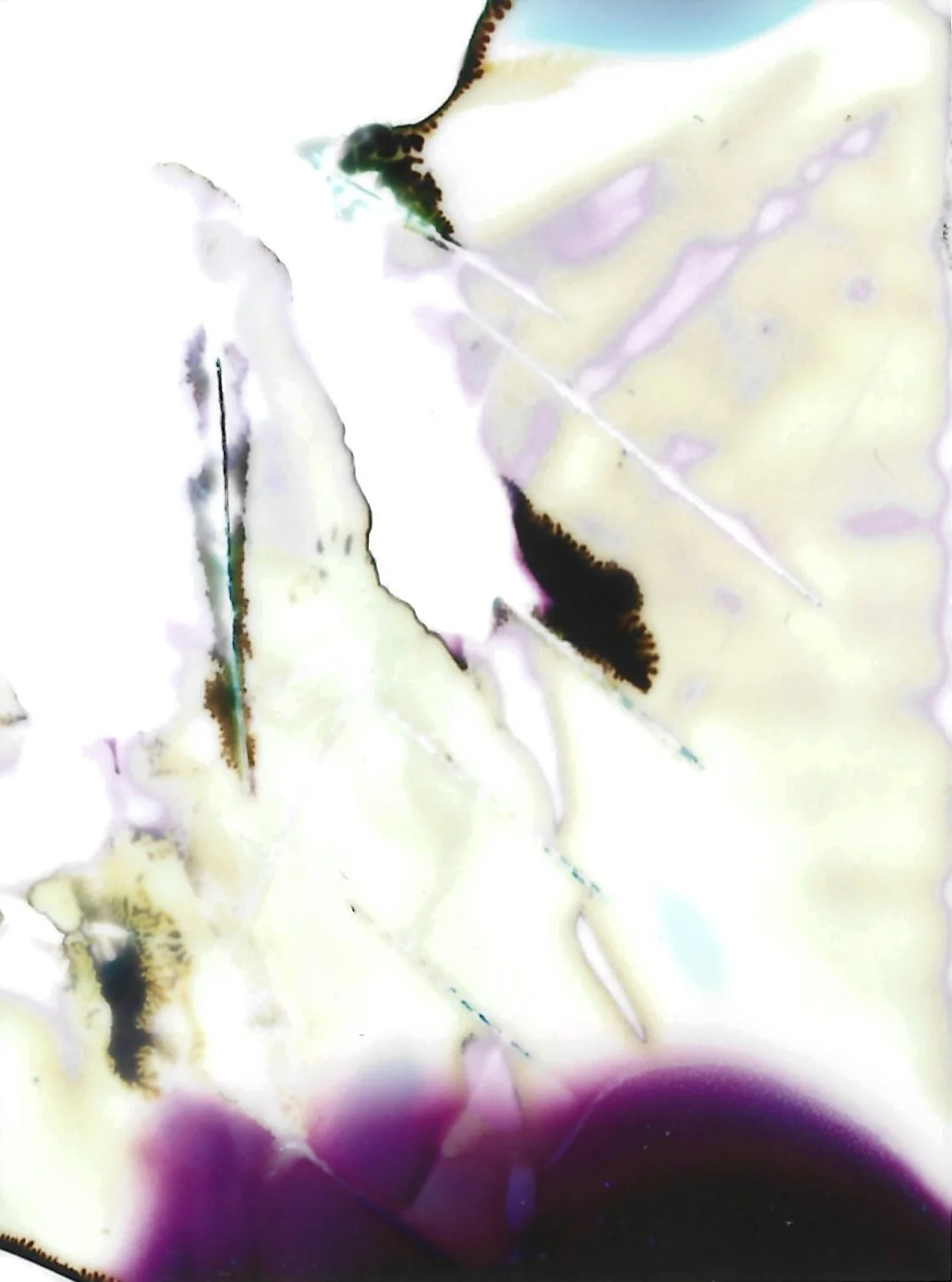 Abstrakt farvet mønster med sorte, hvide, lilla og grønne områder | Stemningsbillede | Filmproduktion i Aarhus | GESTALT