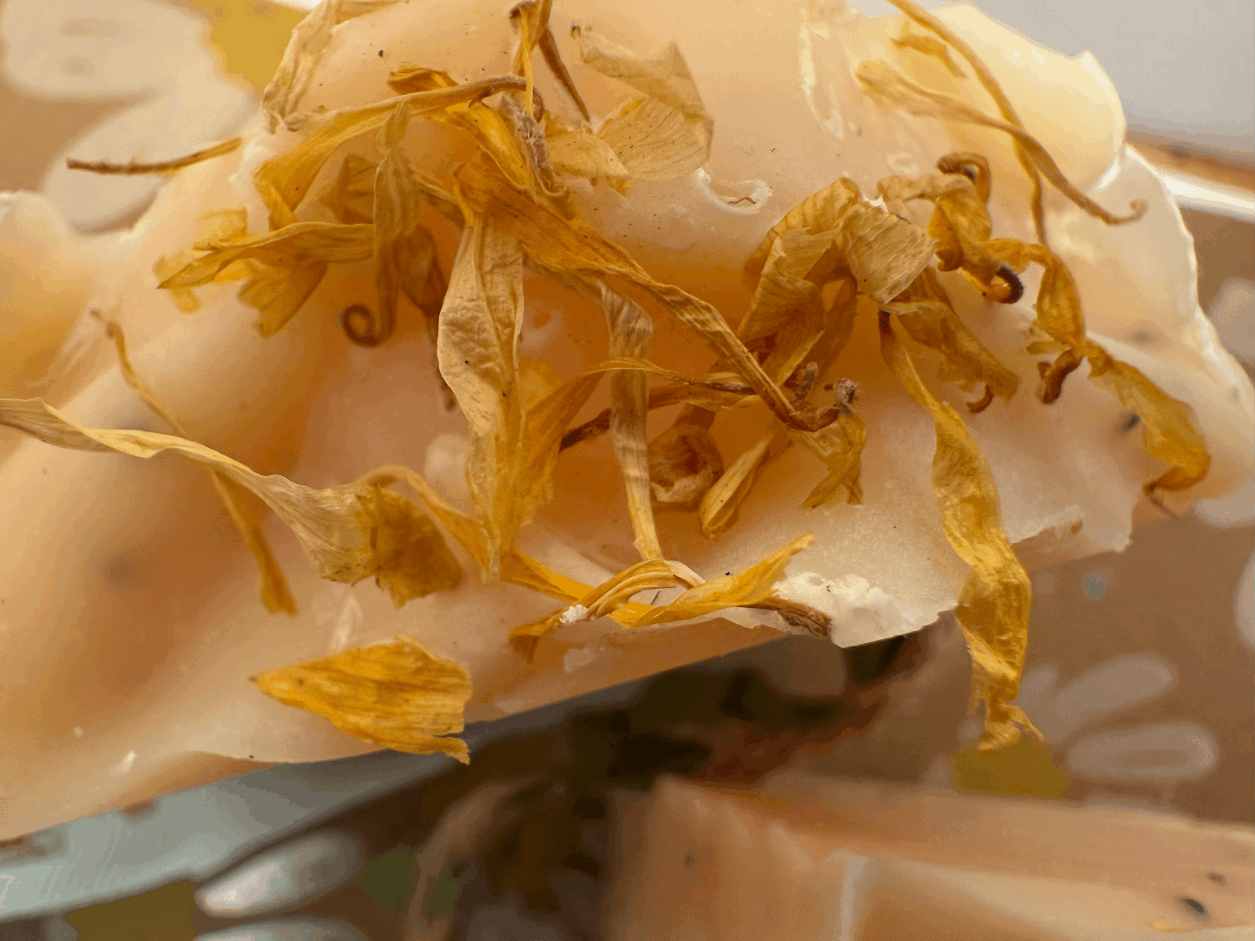 tempImageepvpj7.gif