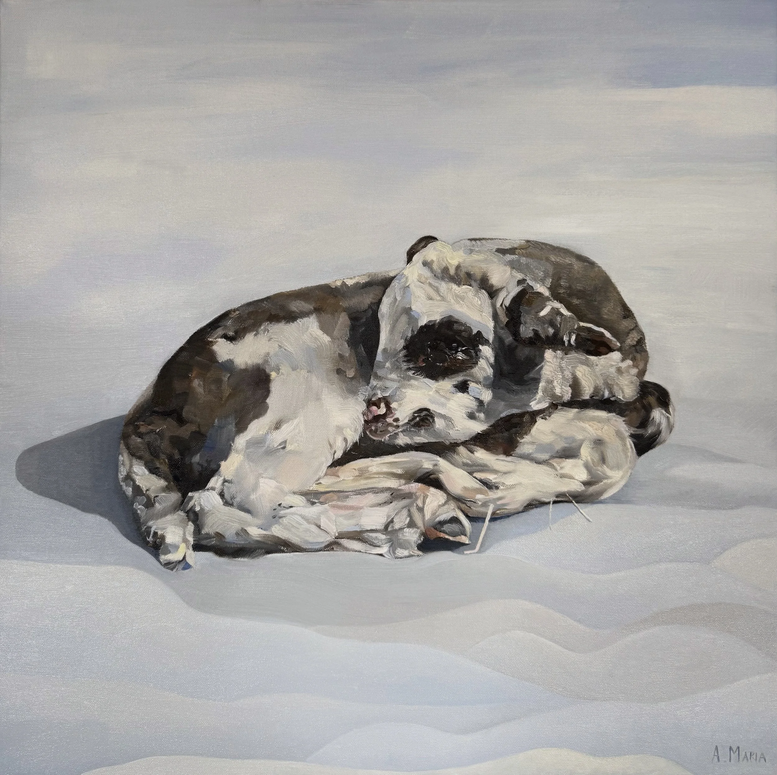Curled Up,
Oil on canvas,
60 x 60 cm,
2025