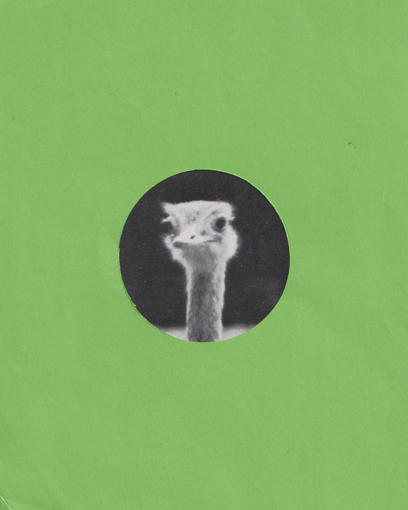 018.png