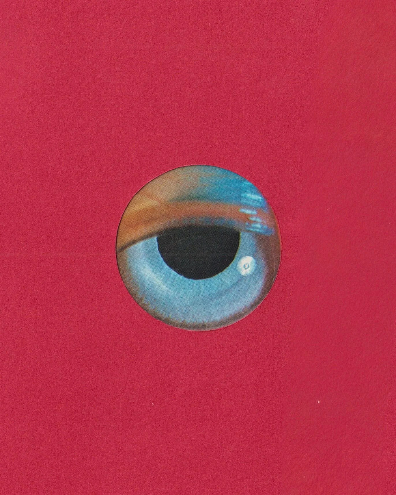 VIEW STUDY / 01 / RED