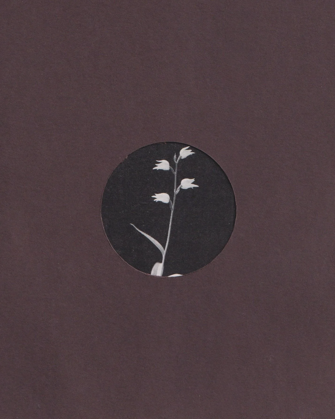 VIEW STUDY / 02 / BROWN
