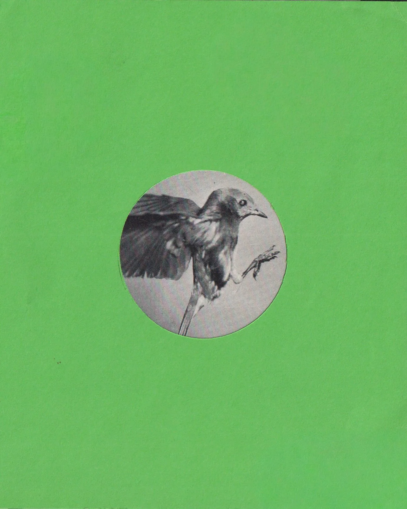 VIEW STUDY / 04 / GREEN