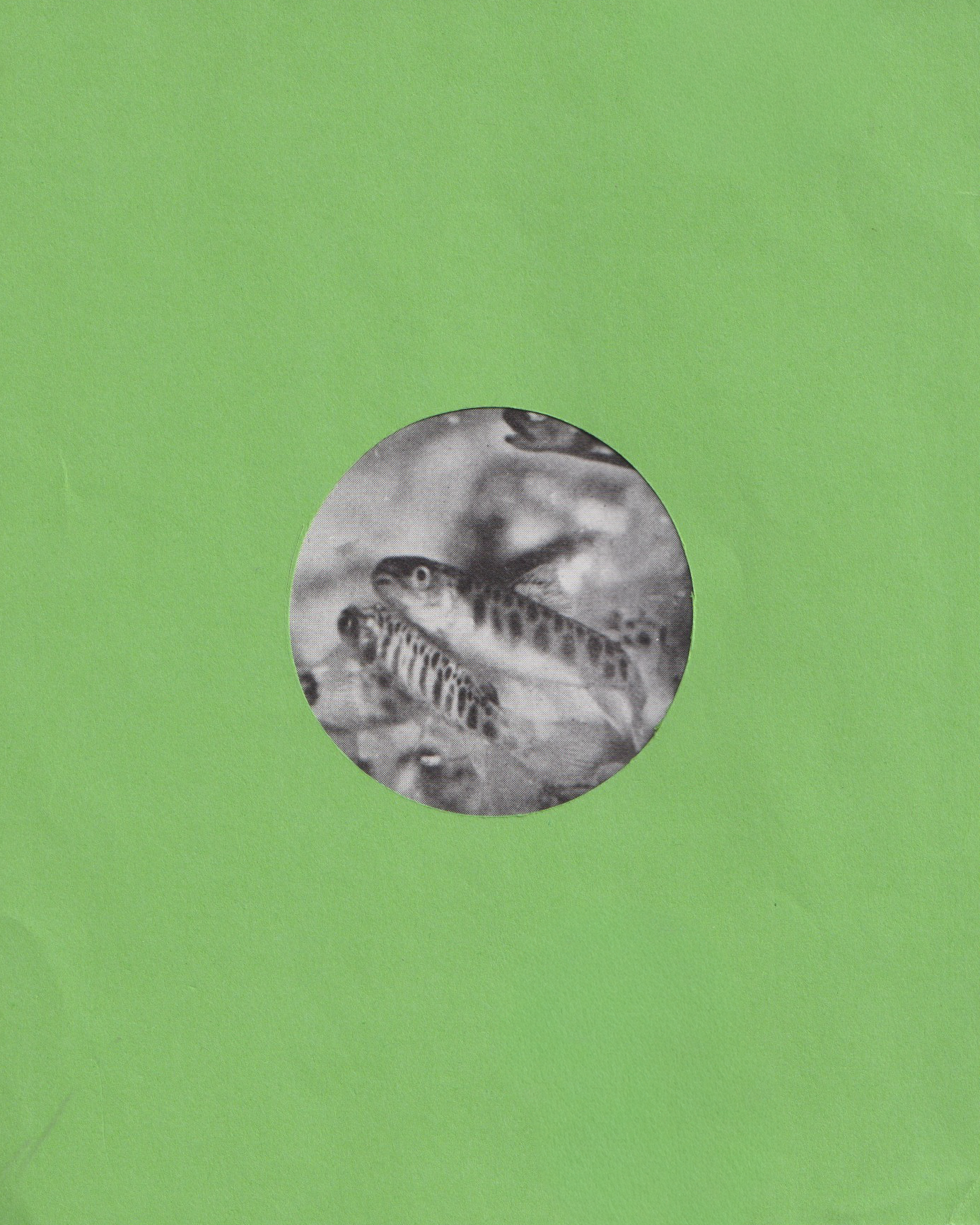 015.png