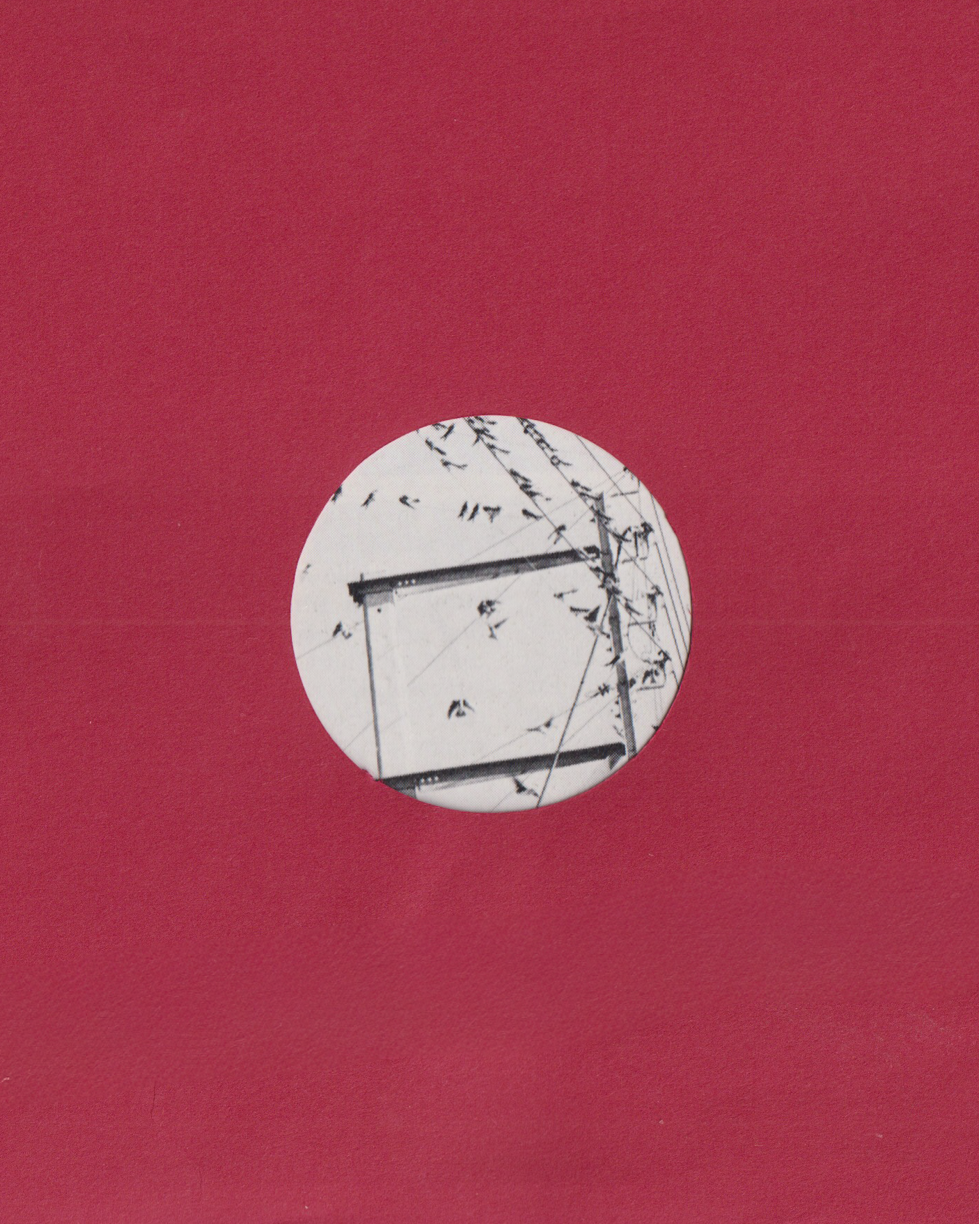 005 copy.png