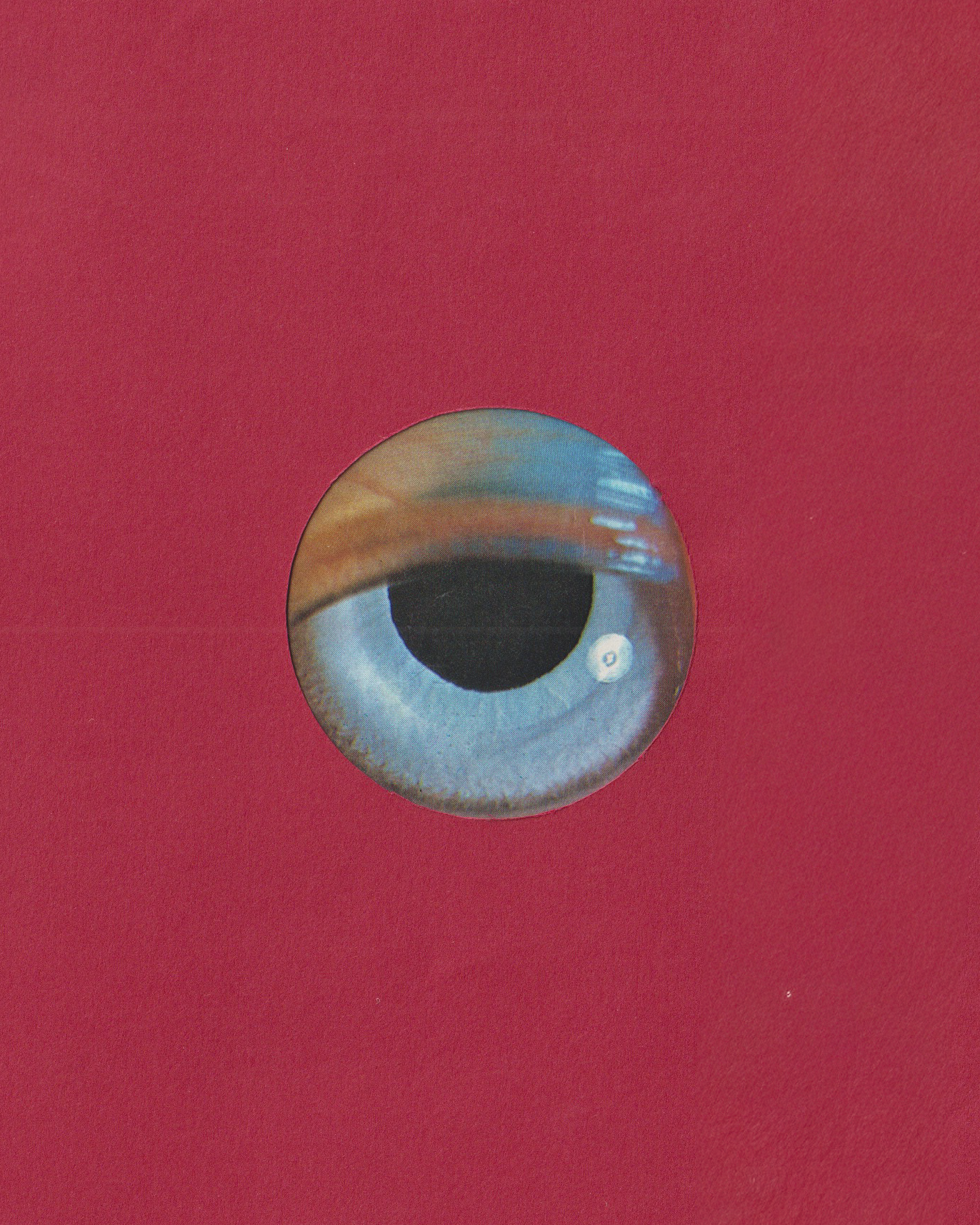 012 copy-3.png