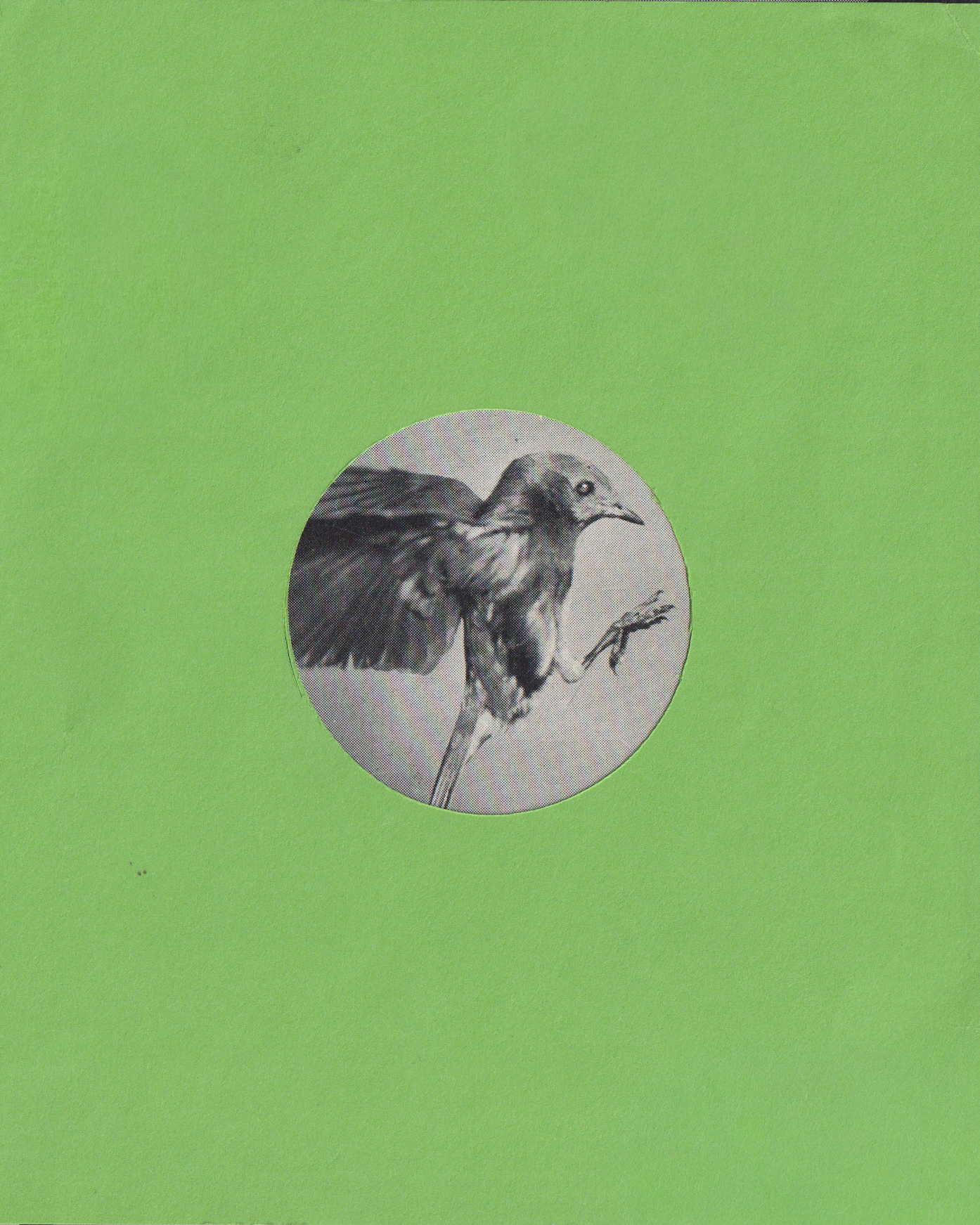 014 copy.png