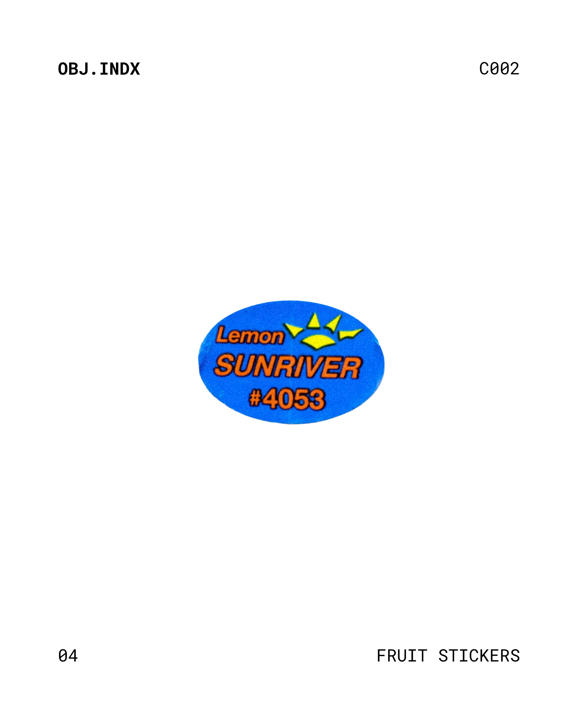 31.png