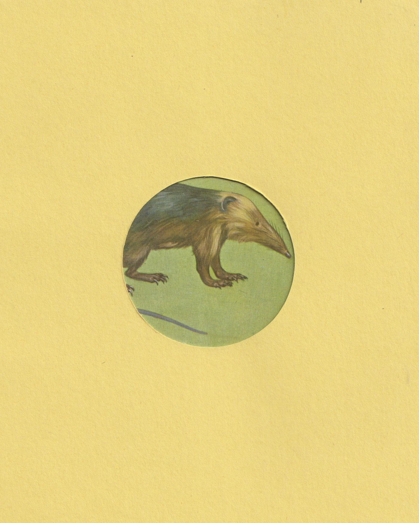 021.png