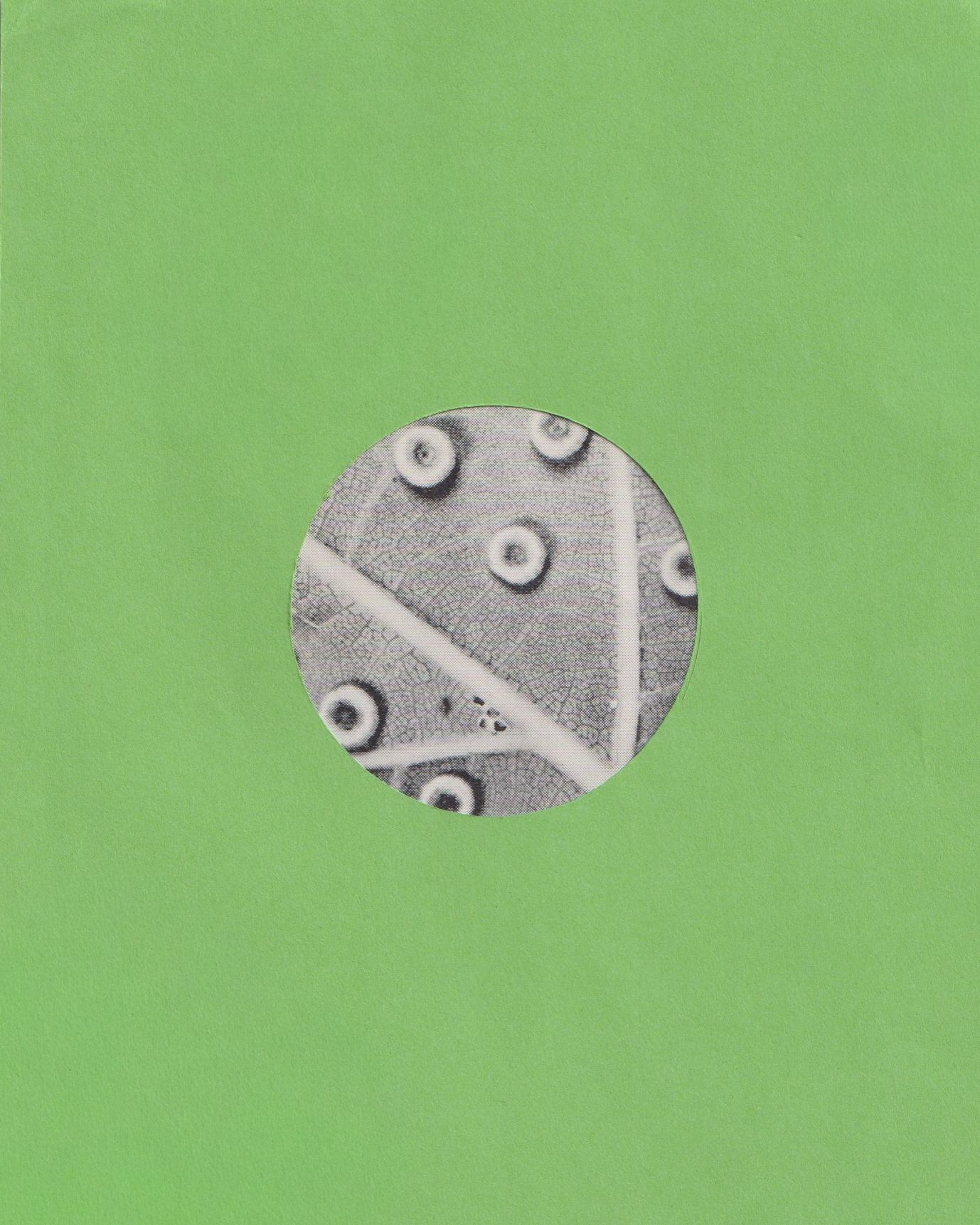 016 copy.png