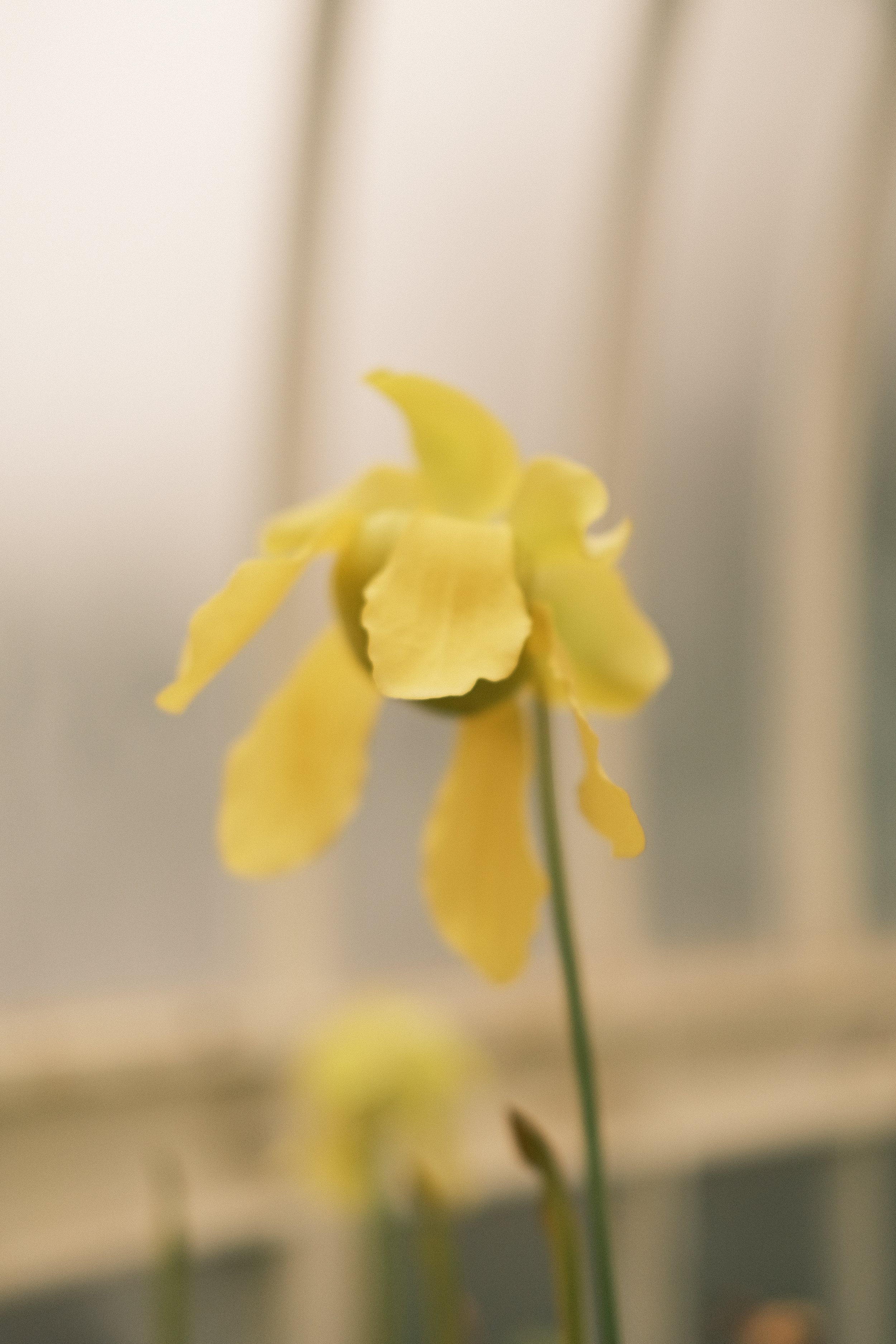 DSCF2392.JPG