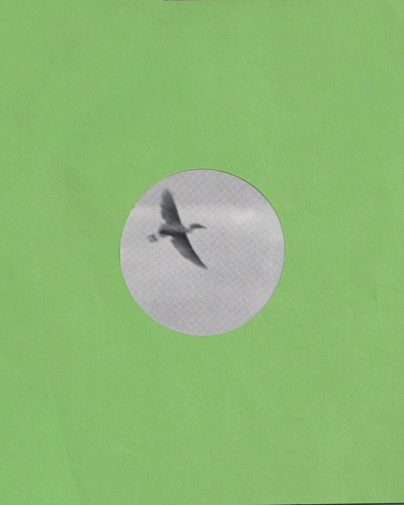 015 copy.png