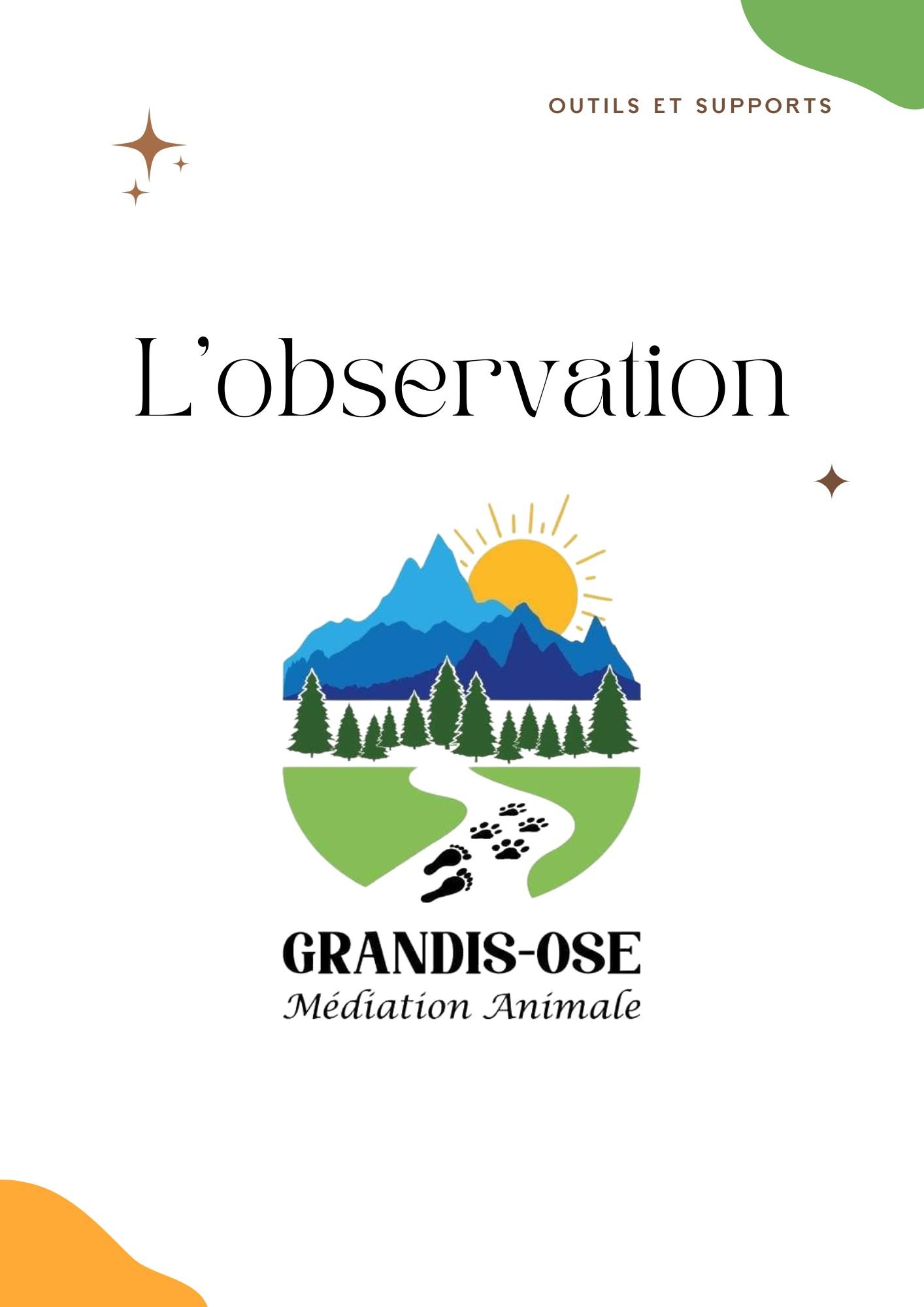 L'observation.jpg