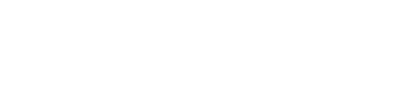 usd-ai-white.png
