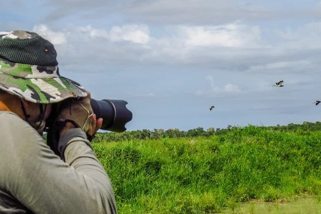 Birdwatching in a private natural reserve