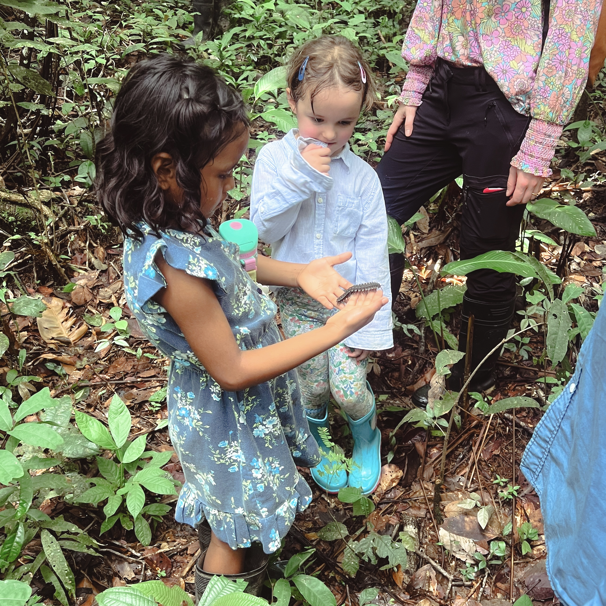Family Forest Walk