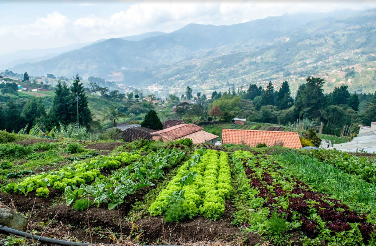 Agricultural farm