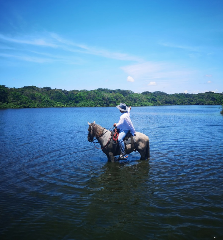 Horseback Riding