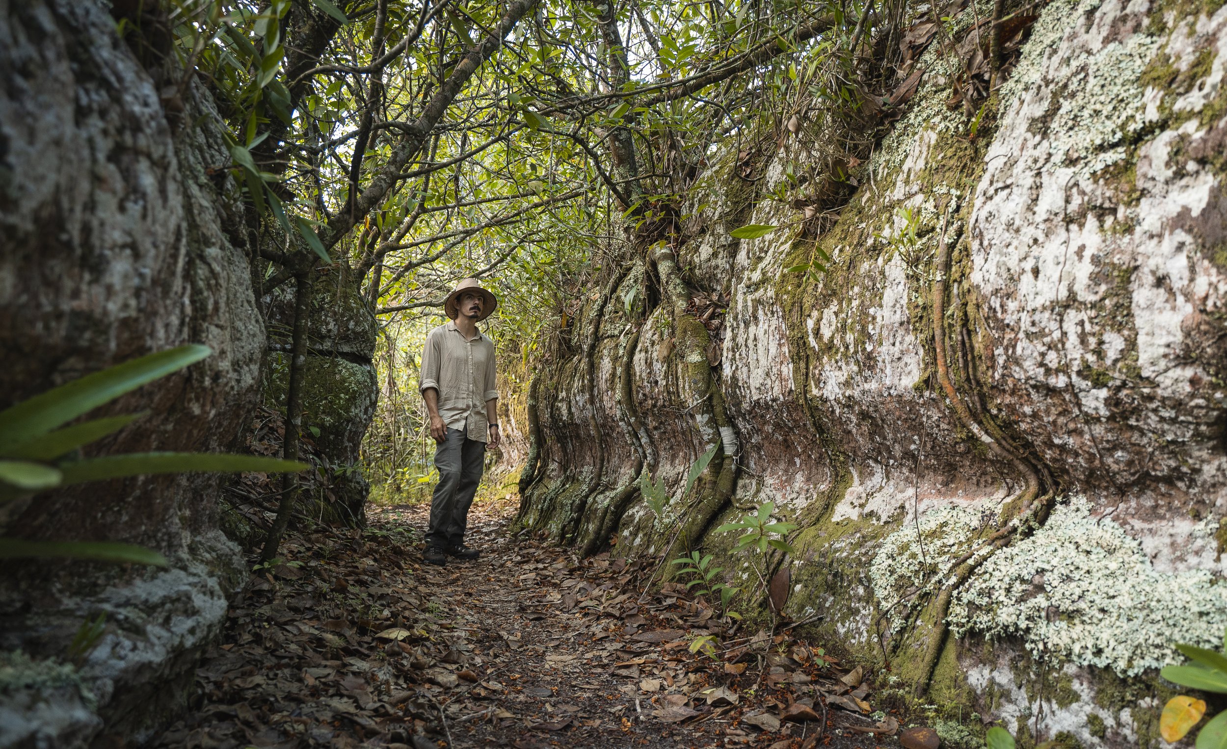 Ciudad Perdida