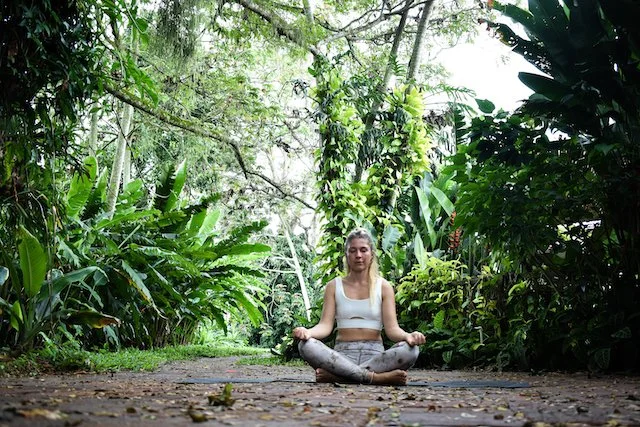 Yoga & wellness 