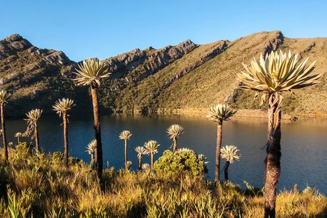 Chingaza National park