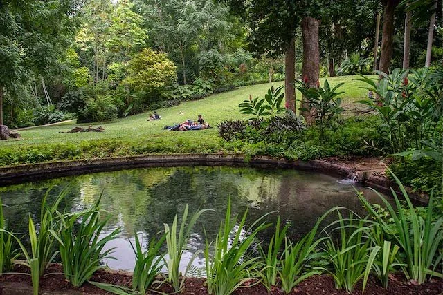 Cartagena’s botanical garden