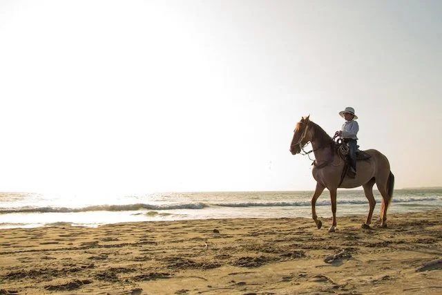Horse riding on the beach