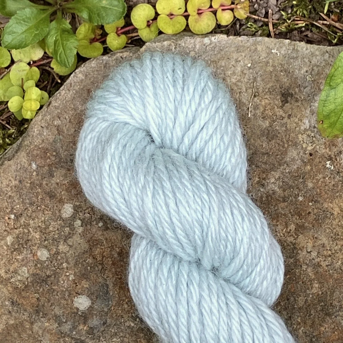 (2025_45) Fresh Indigo.jpg