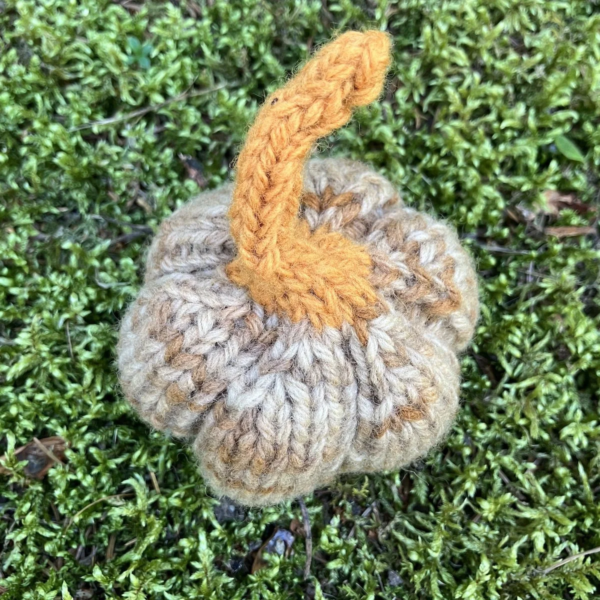 Pumpkin #13.jpg