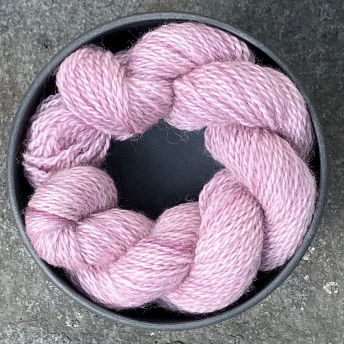 4. 2024_54 Cochineal.jpg