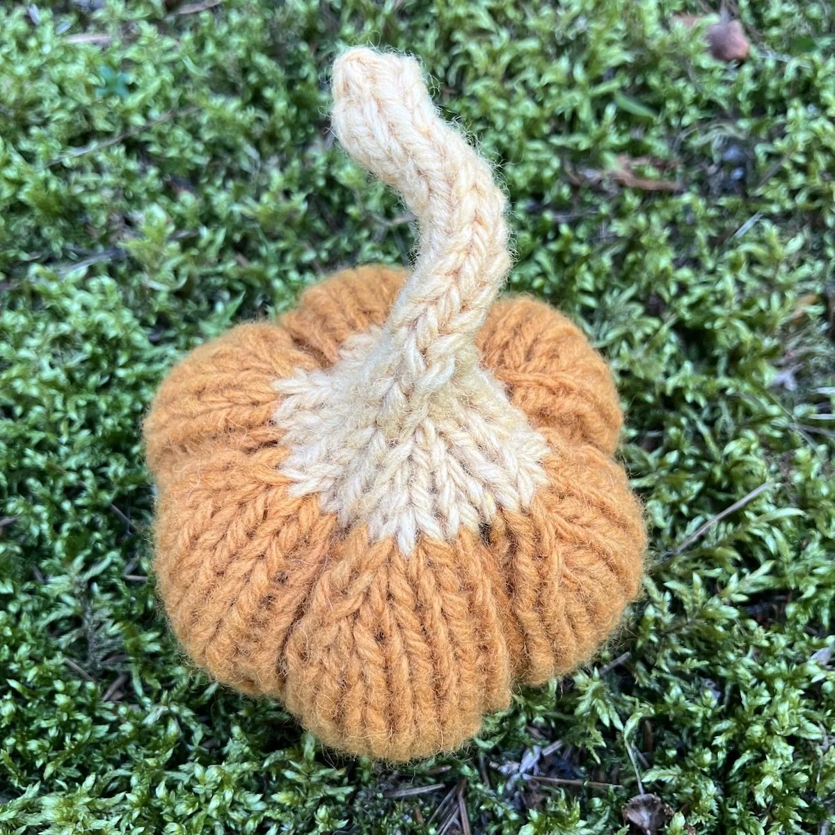 Pumpkin #22.jpg